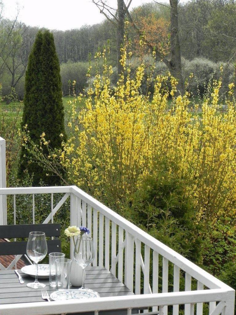Ferienwohnung-Nils-Holgerson-Mit-Balkon-Zwischen-Strand-Wald-Wiese-Im-Suedosten-Der-Insel-Ruegen Gustow  Buitenkant foto